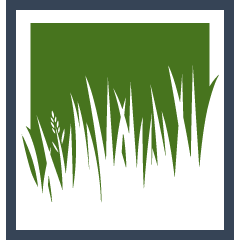 Bahia Grass Installation Pros