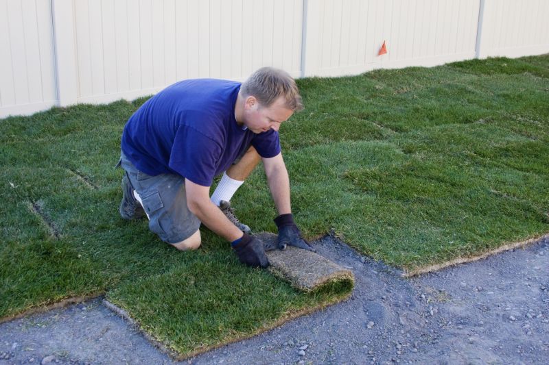 Bahia Grass Installation