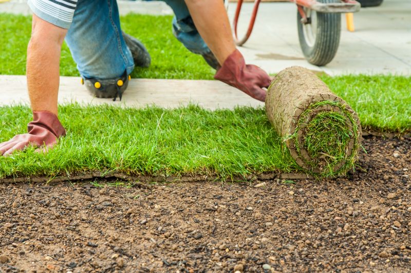 Bahia Grass Installation