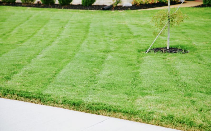 Bahia Grass Installation