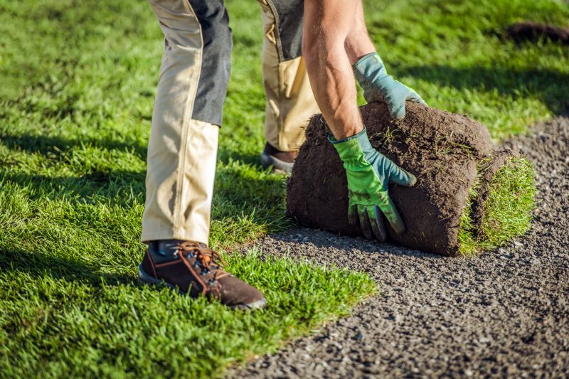 Sod Laying by Professionals