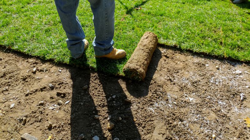 Laying Sod on Prepared Soil
