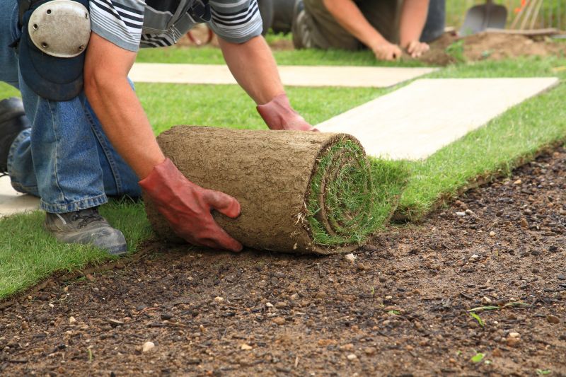 Sod Landscaping in Honolulu, HI