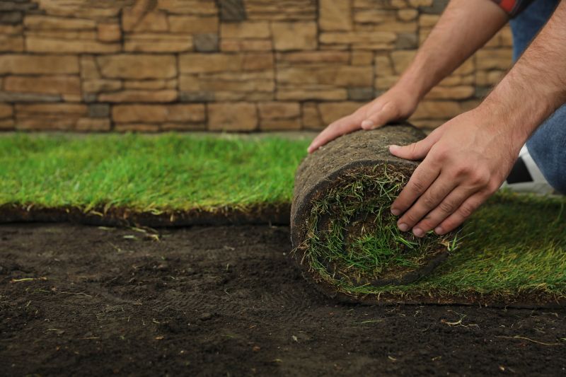 Sod Replacement in Aiken, SC